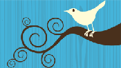 twitter-bird.png
